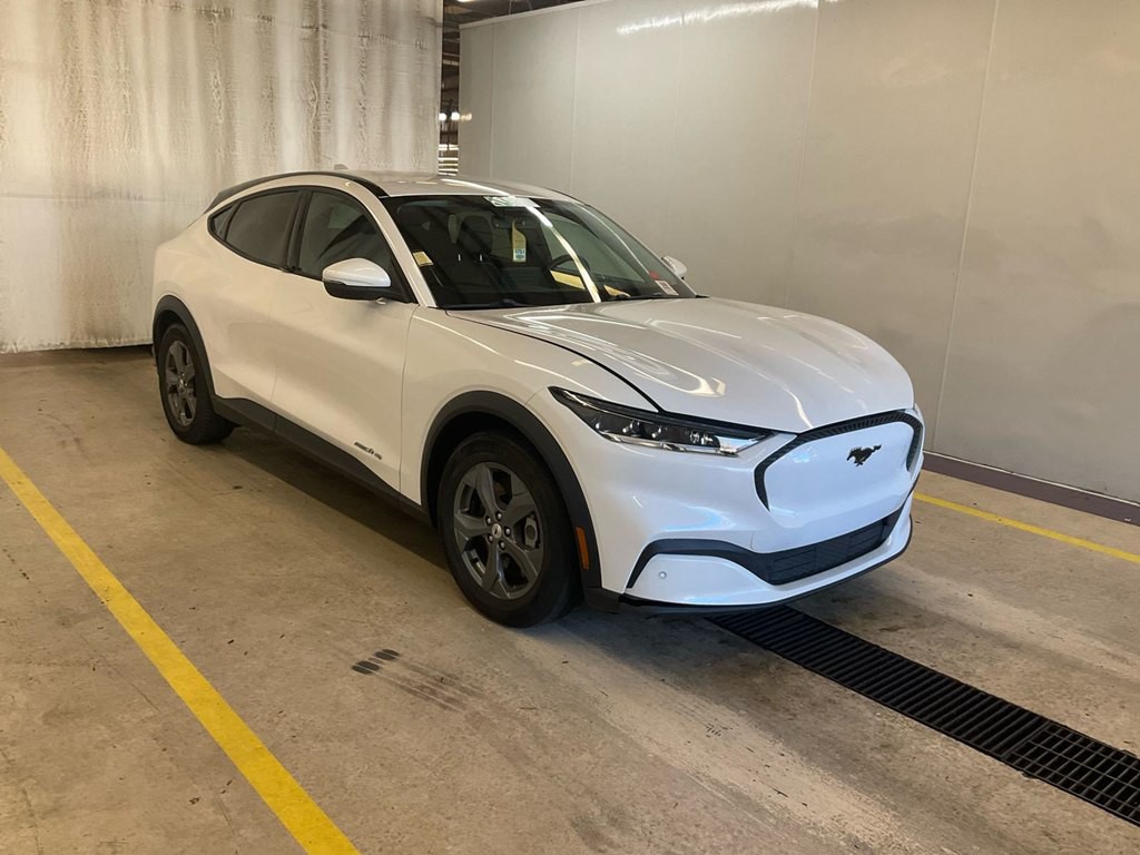 2022 Ford Mustang Image 4