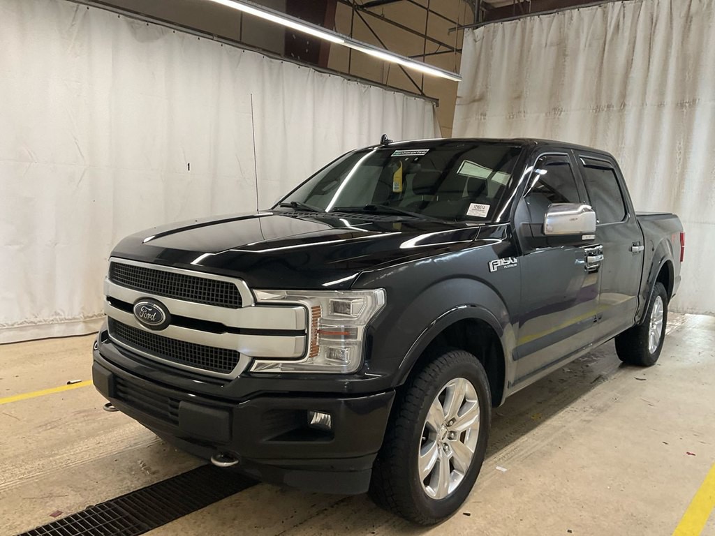 2020 Ford F-150 Image 1