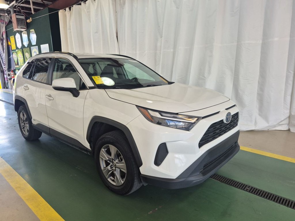 2023 Toyota Rav4 Image 1