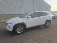 Image for 2024 Hyundai Tucson SEL ID: 7630599
