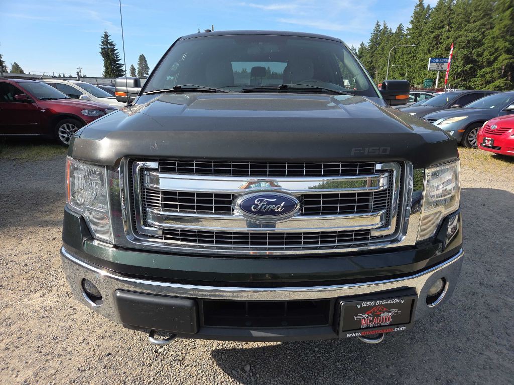 2014 Ford F-150 Image 3