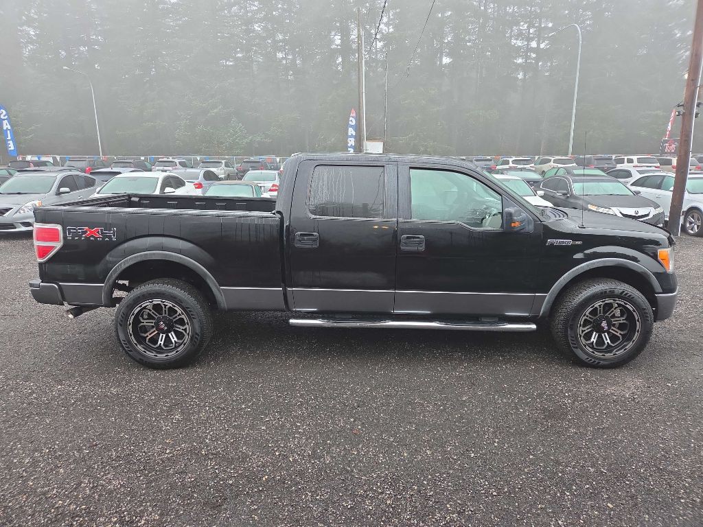 2009 Ford F-150 Image 1