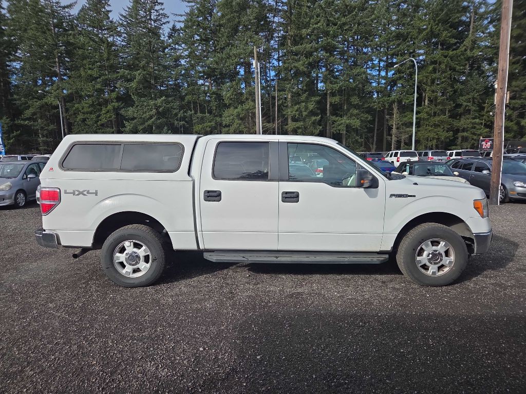 2009 Ford F-150 Image 1