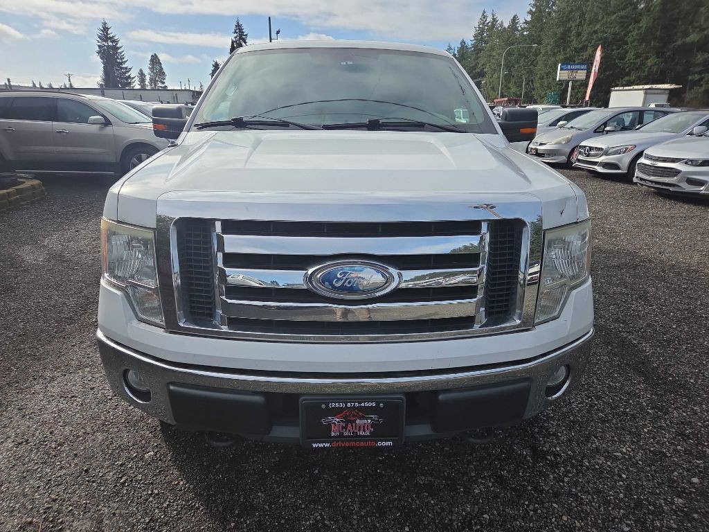 2009 Ford F-150 Image 3