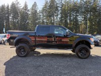 Image for 2009 Ford F-150 Supercrew ID: 7303841