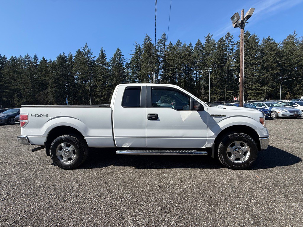 2010 Ford F-150 Image 1
