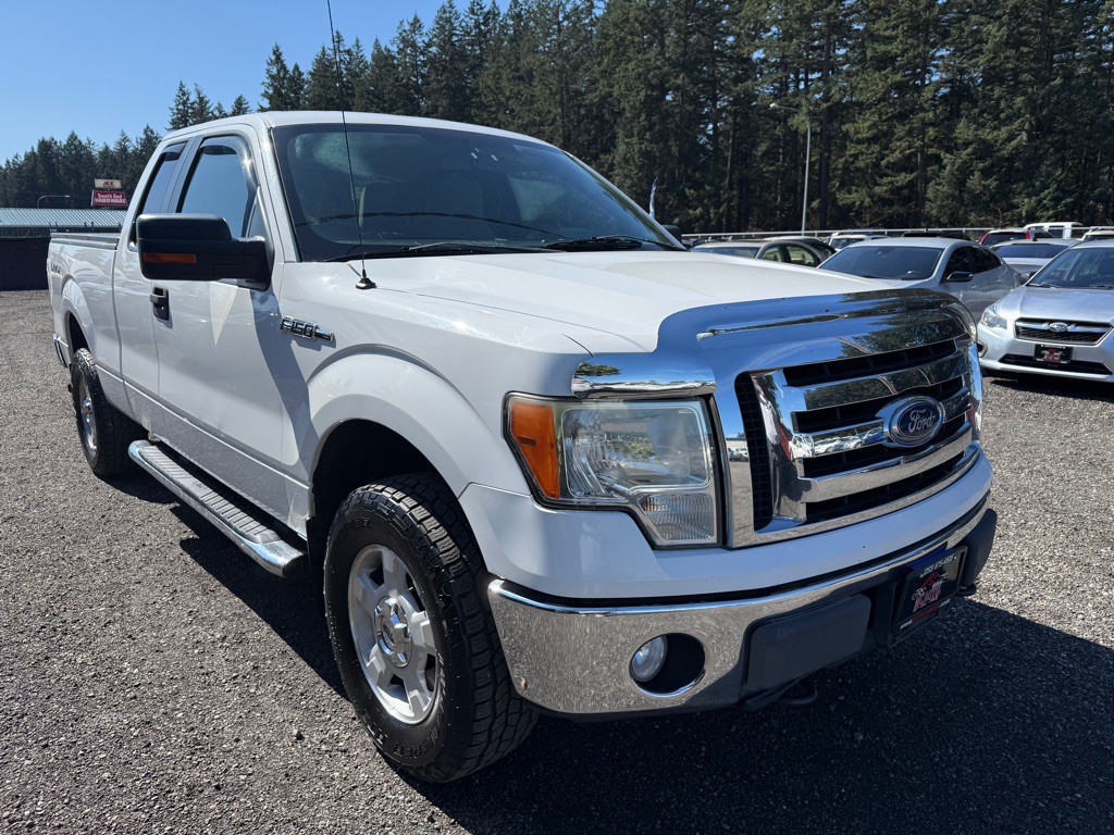 2010 Ford F-150 Image 2
