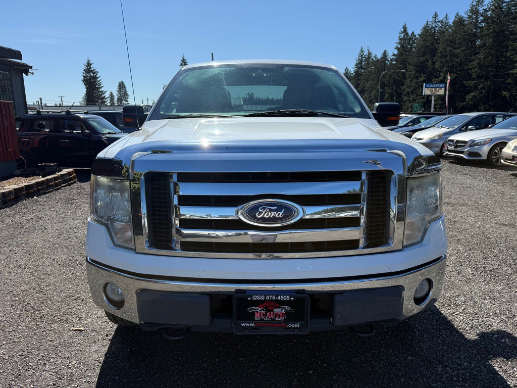 2010 Ford F-150 Image 3