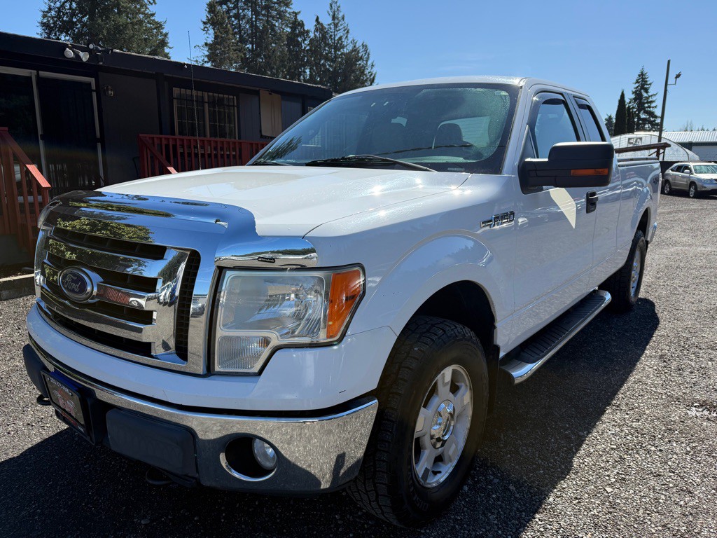 2010 Ford F-150 Image 4