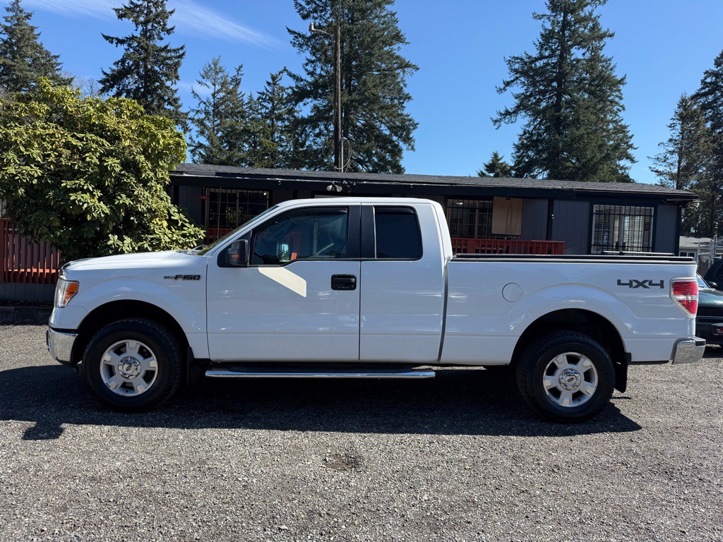 2010 Ford F-150 Image 5