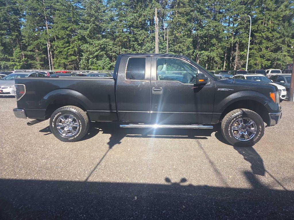 2010 Ford F-150 Image 1