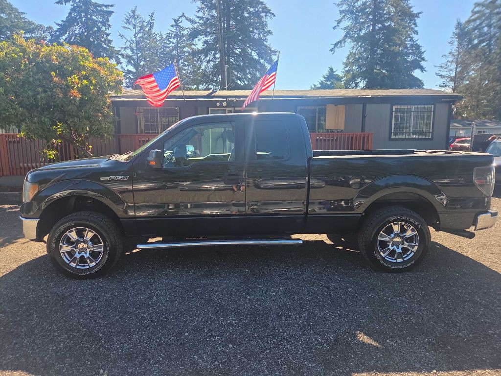 2010 Ford F-150 Image 3