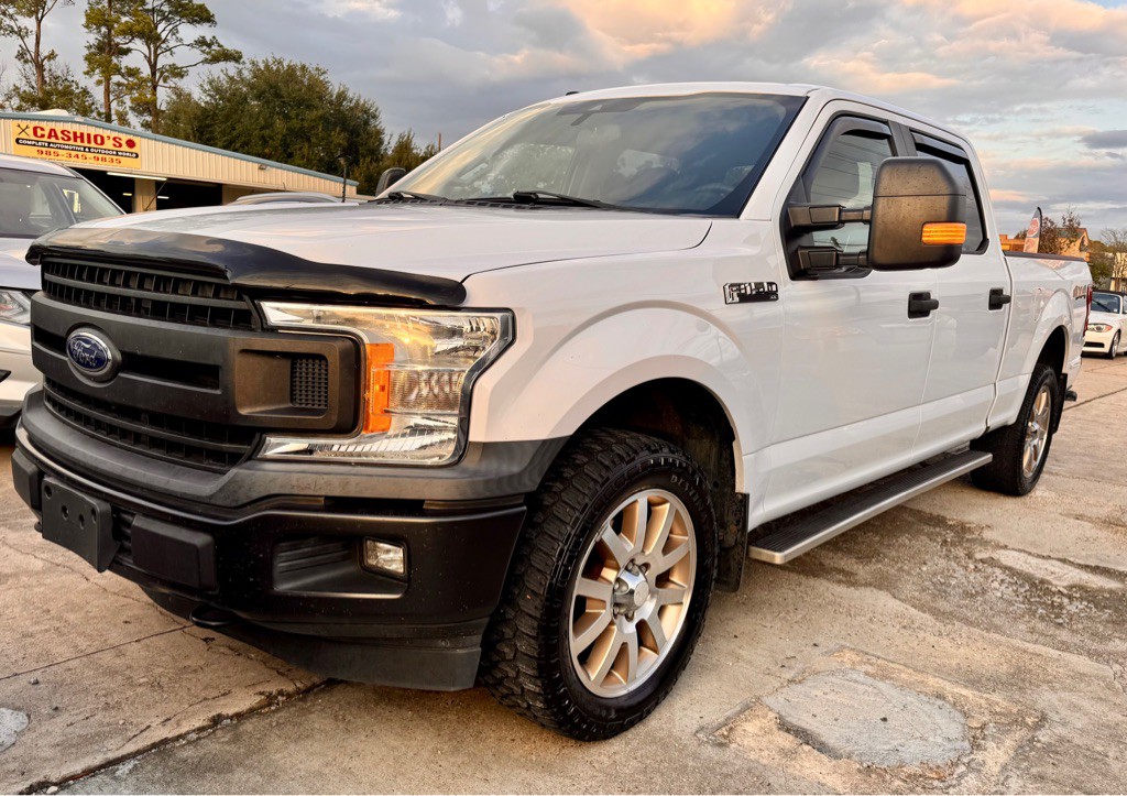 2019 Ford F-150 Image 1
