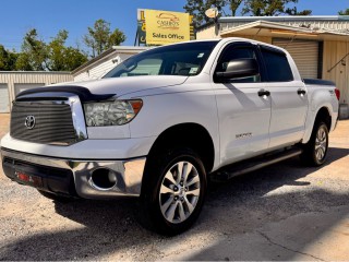 Image for 2010 Toyota Tundra Grade ID: 7341960