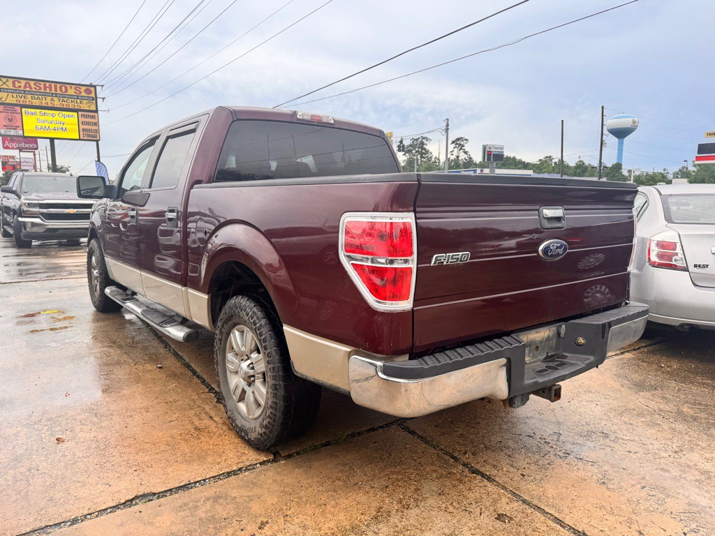 2009 Ford F-150 Image 6