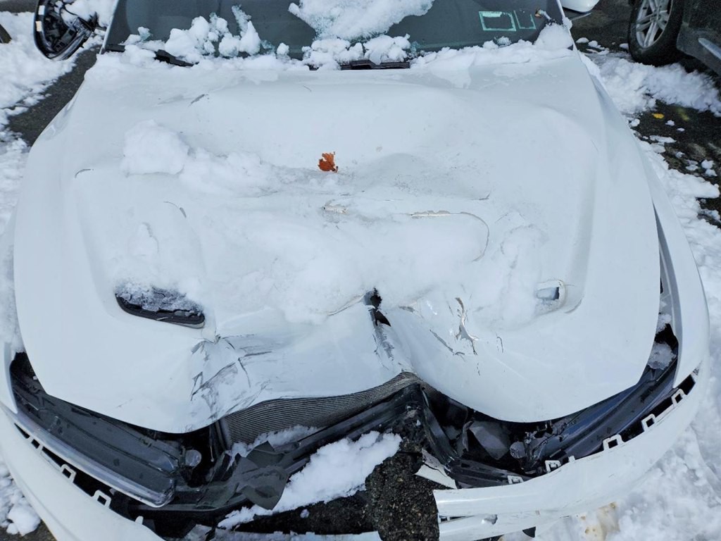 2024 Dodge Hornet Image 12