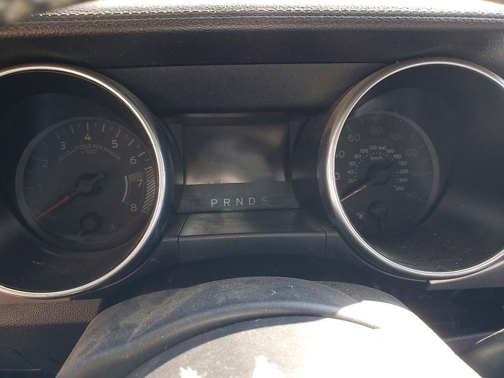 2020 Ford Mustang Image 1