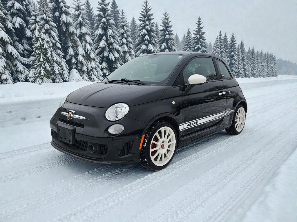 2013 FIAT 500 Image 1