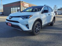 Image for 2017 Toyota Rav4 SE ID: 6721843