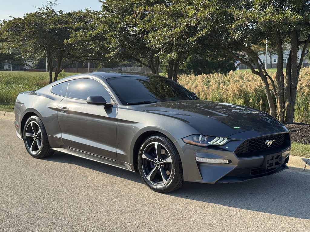 2019 Ford Mustang Image 3