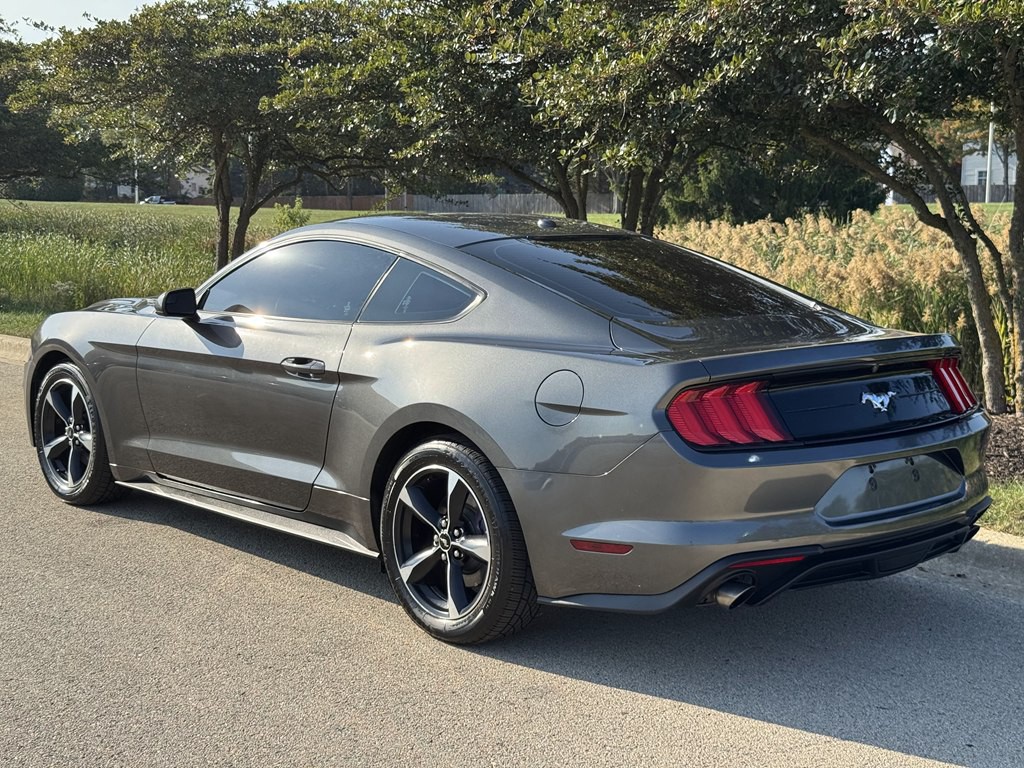 2019 Ford Mustang Image 4