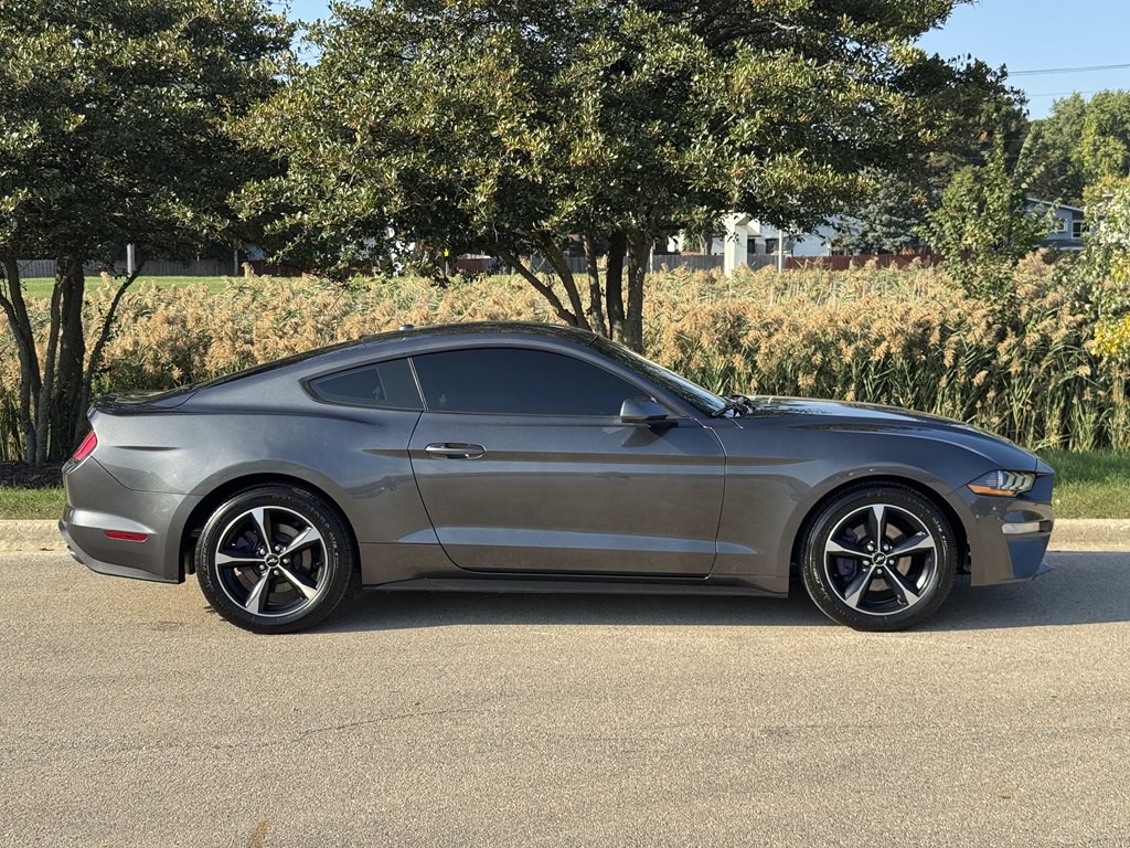 2019 Ford Mustang Image 5