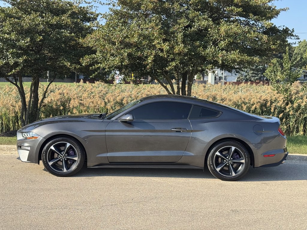 2019 Ford Mustang Image 6
