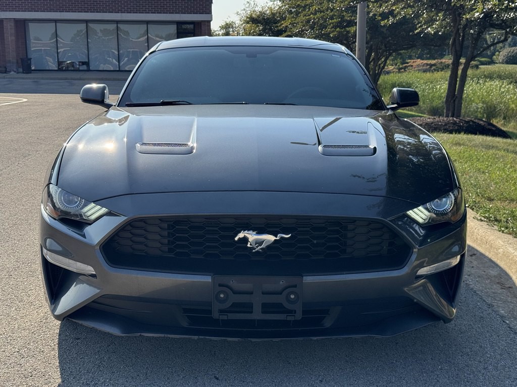 2019 Ford Mustang Image 7