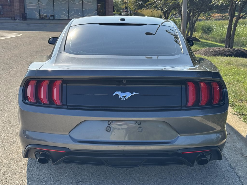 2019 Ford Mustang Image 8