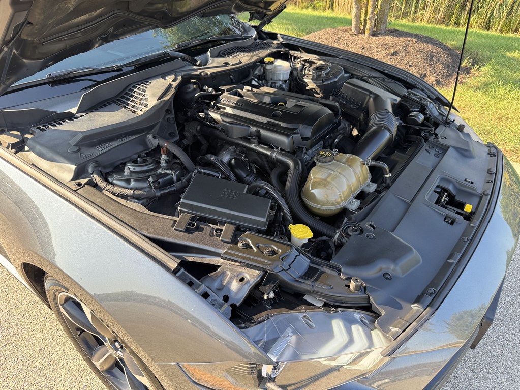 2019 Ford Mustang Image 9