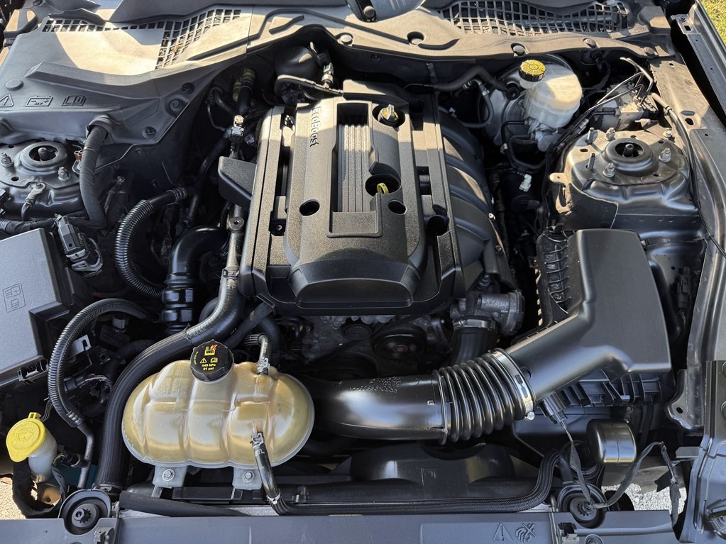 2019 Ford Mustang Image 11