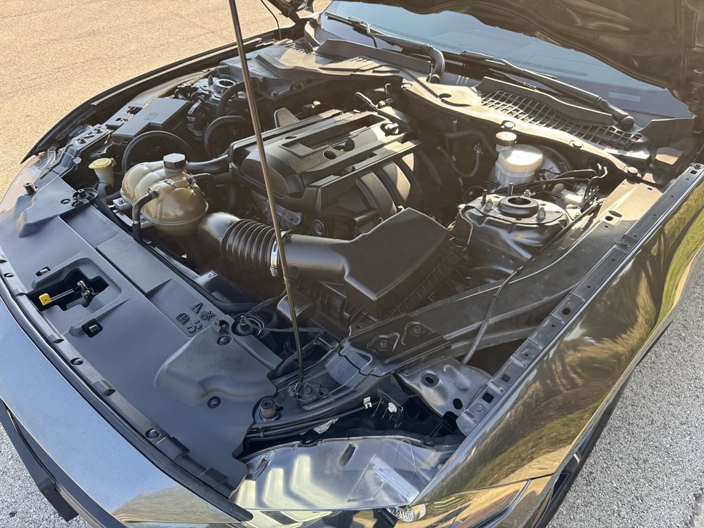 2019 Ford Mustang Image 12