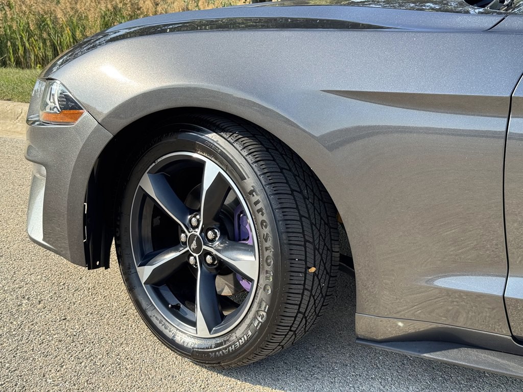 2019 Ford Mustang Image 14