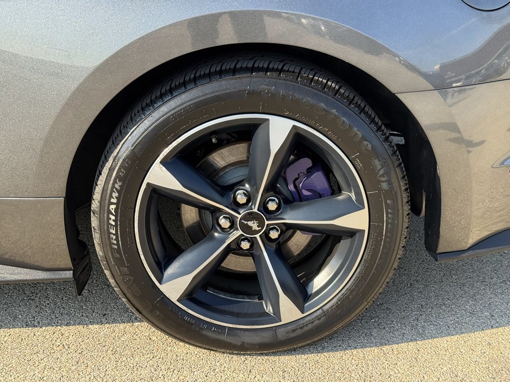 2019 Ford Mustang Image 15