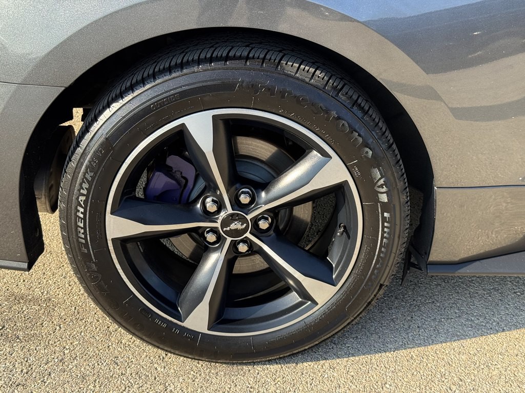 2019 Ford Mustang Image 16