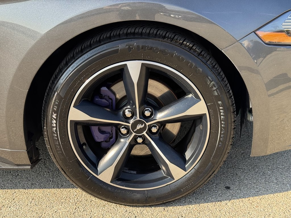 2019 Ford Mustang Image 17