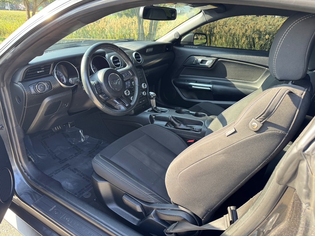 2019 Ford Mustang Image 23