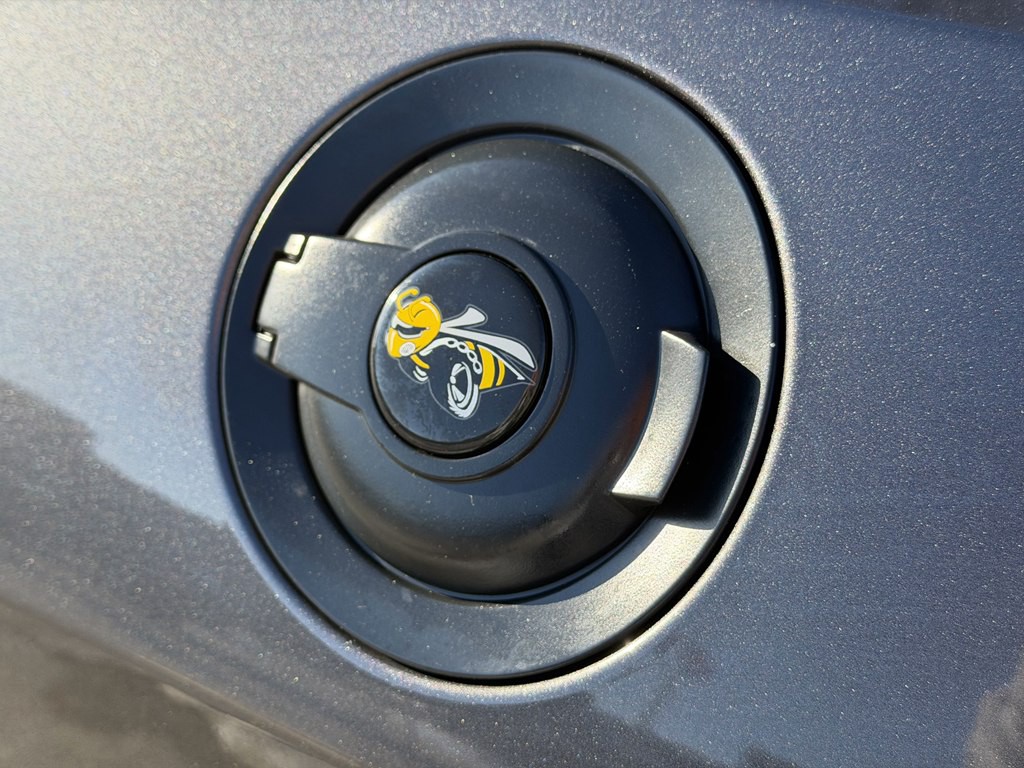 2019 Dodge Challenger Image 8