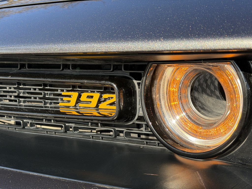 2019 Dodge Challenger Image 14