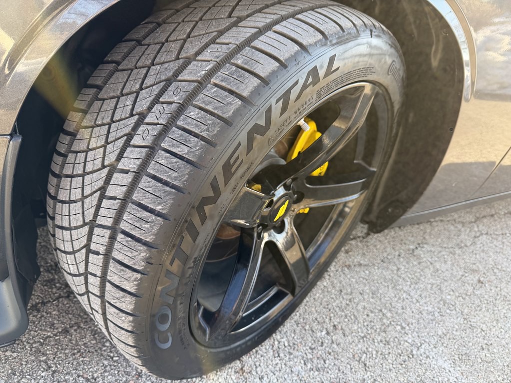 2019 Dodge Challenger Image 21