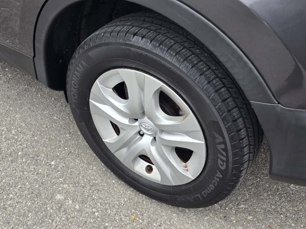 2015 Toyota Rav4 Image 8