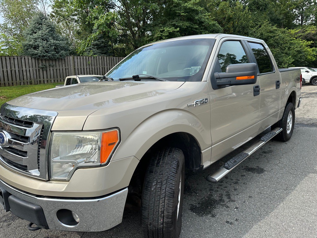 2010 Ford F-150 Image 1
