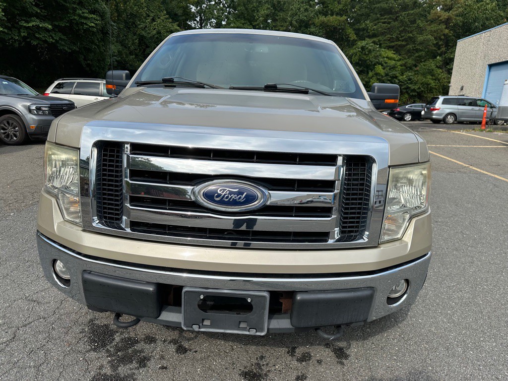 2010 Ford F-150 Image 2