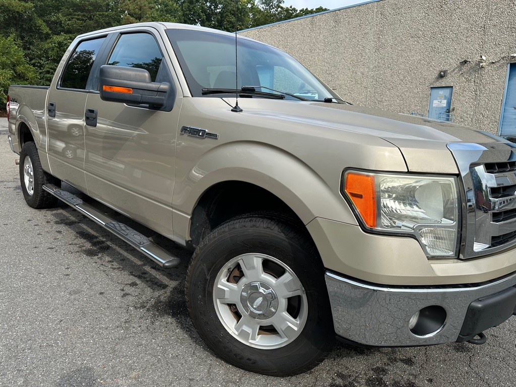 2010 Ford F-150 Image 3