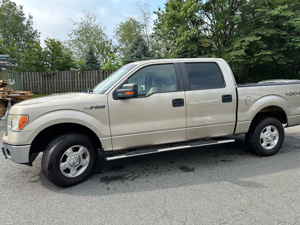 2010 Ford F-150 Image 4