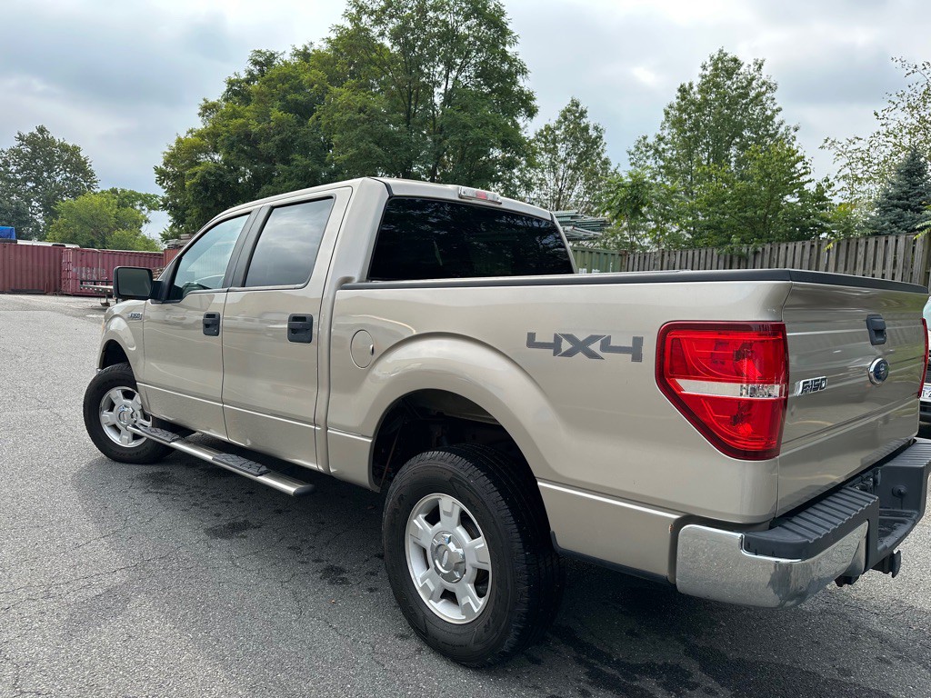 2010 Ford F-150 Image 5