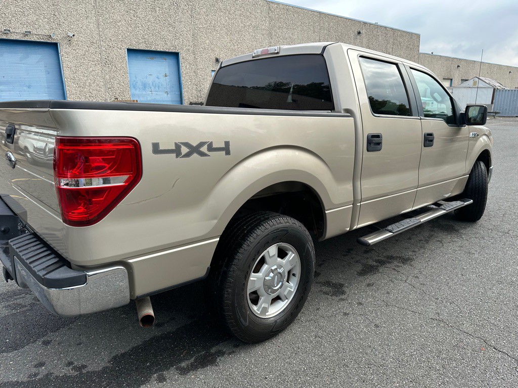 2010 Ford F-150 Image 8