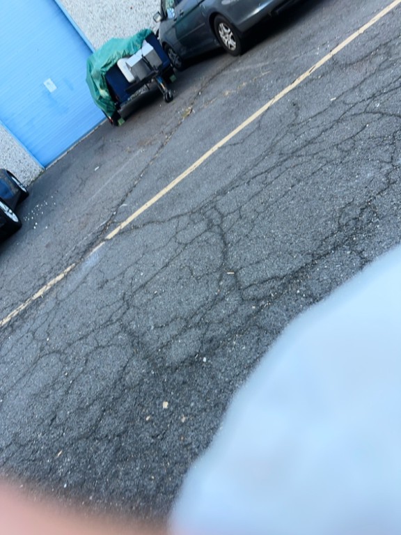 2006 Toyota Prius Image 15