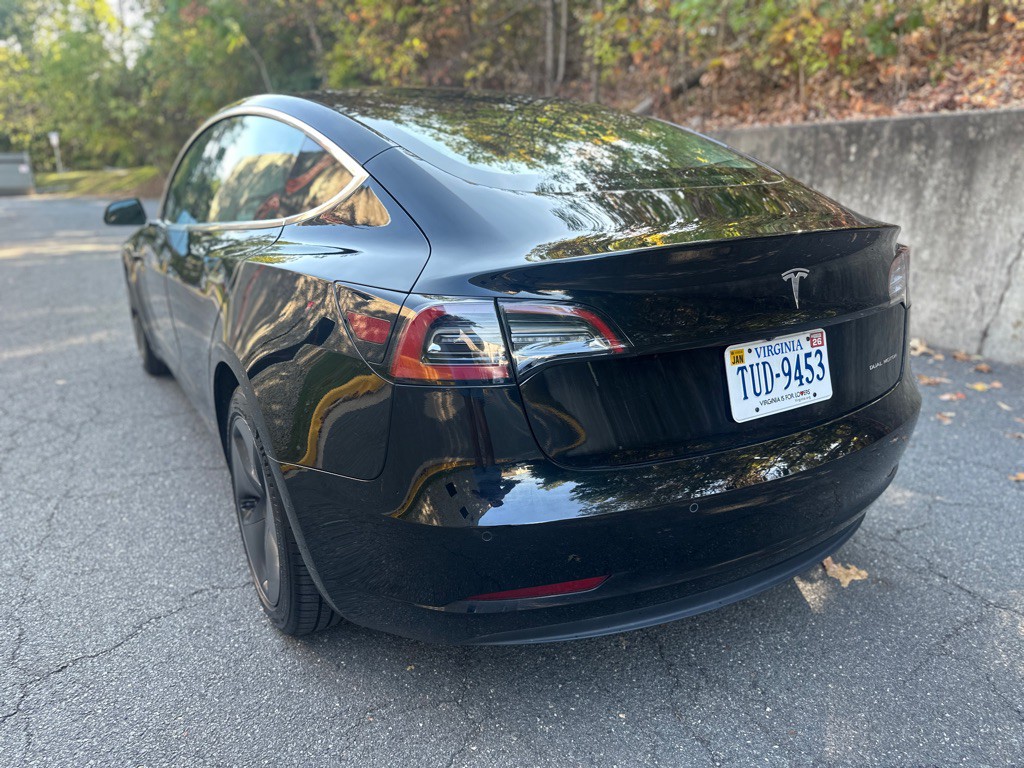 2019 Tesla Model 3 Image 5