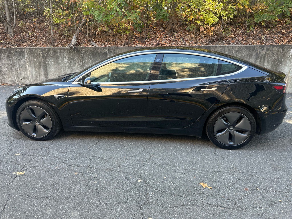 2019 Tesla Model 3 Image 6
